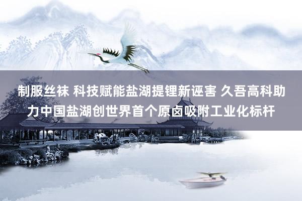 制服丝袜 科技赋能盐湖提锂新诬害 久吾高科助力中国盐湖创世界首个原卤吸附工业化标杆